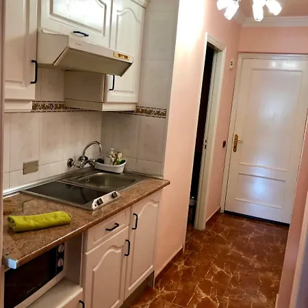 Estudio Playa Jardin